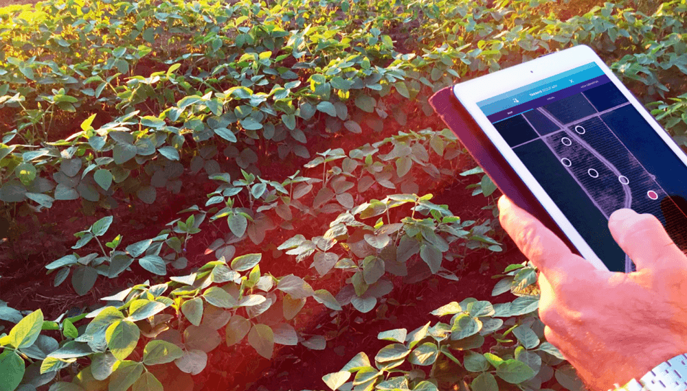 AgTech: el INTA y el IICA promueven la digitalización agrícola formando una Red Interamericana