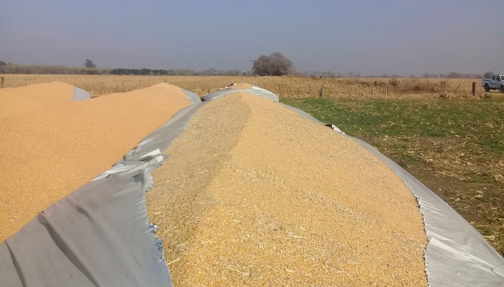 Inseguridad rural: otra vez rompieron silobolsas en Córdoba