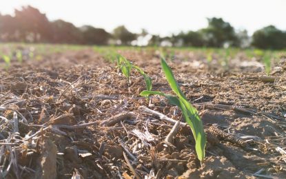 ¿La lluvias de septiembre, las últimas importantes? Dan por asegurado el regreso de La Niña
