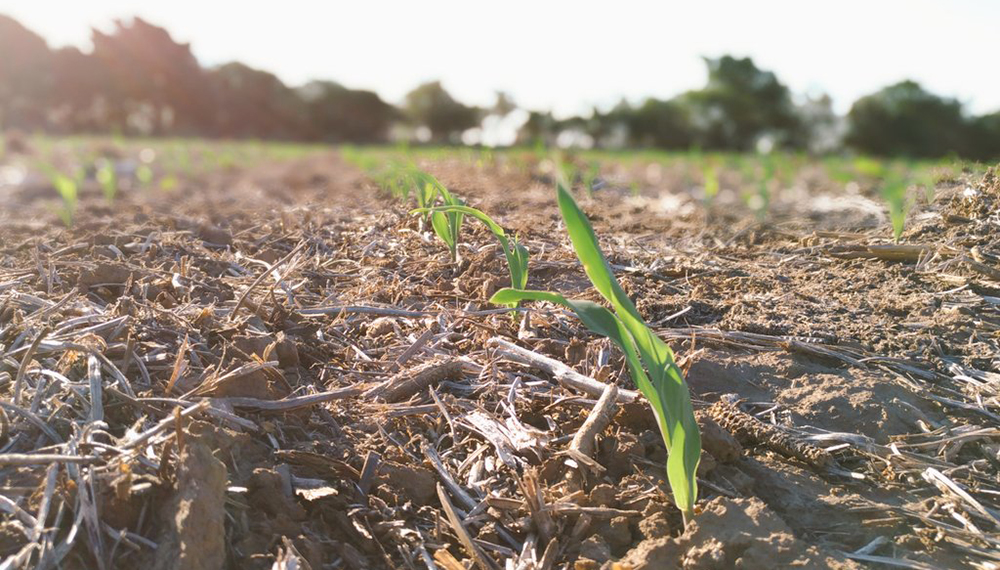 ¿La lluvias de septiembre, las últimas importantes? Dan por asegurado el regreso de La Niña