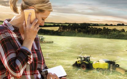 El desafío de la información: ¿cómo interpretar mil datos agrícolas en dos segundos?