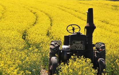 Beneficios de la primavera en el campo