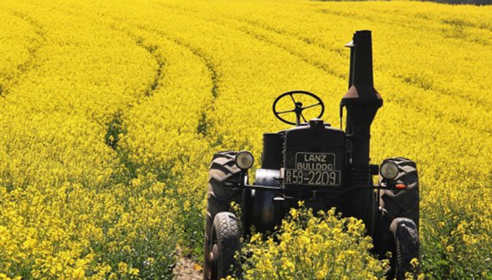 Beneficios de la primavera en el campo