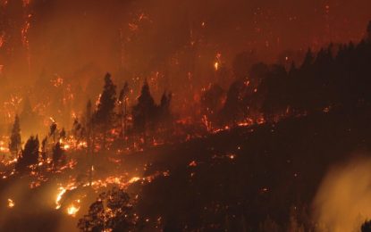Incendios: se declaró la emergencia agropecuaria en la provincia de Chubut