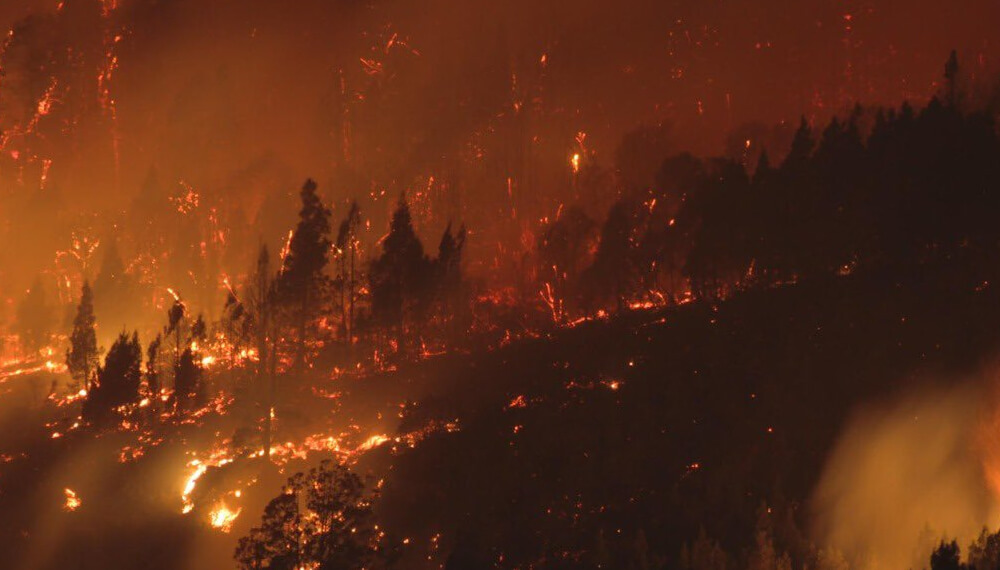 Incendios: se declaró la emergencia agropecuaria en la provincia de Chubut