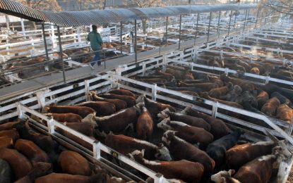 La hacienda comenzó a perder contra la inflación