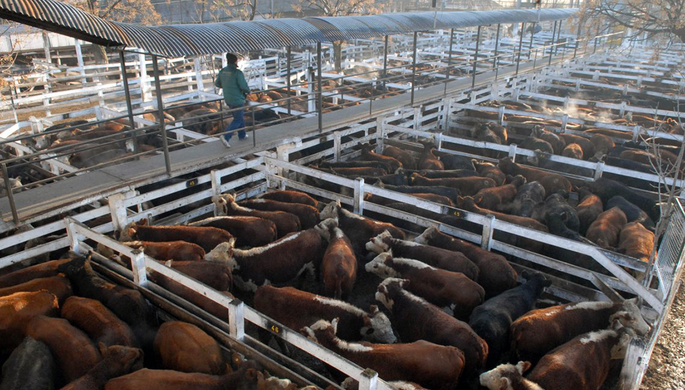 La hacienda comenzó a perder contra la inflación