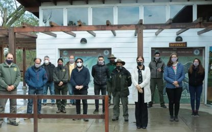 Incendios: se inició la investigación en las islas del Delta para avanzar en ganadería sostenible