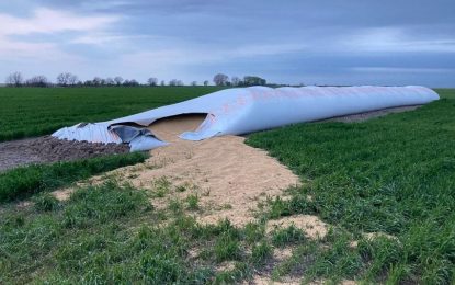 Rompieron una silobolsa y se llevaron más de 6.000 kilos de soja