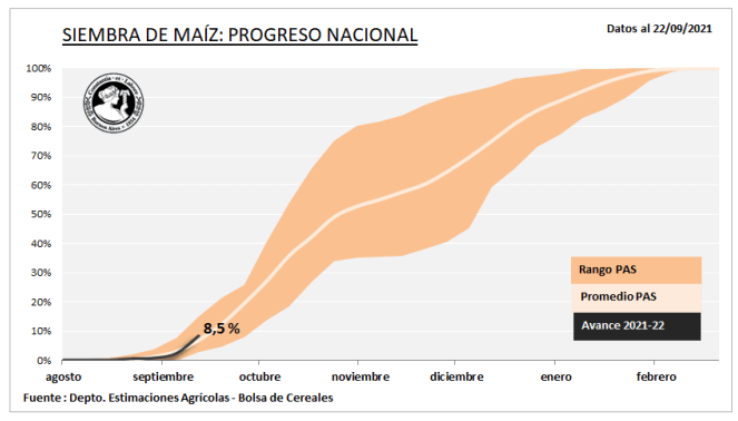 Avanza la siembra de maíz y ya alcanzó el 8,5% de la superficie estimada para este ciclo