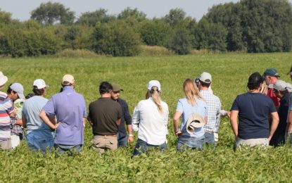¿Cuáles son las soluciones del futuro para producir más, en las que ya trabajan las empresas?