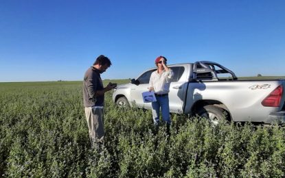 Cómo hizo para dividir 2.600 hectáreas en partes iguales por productividad potencial con agricultura digital