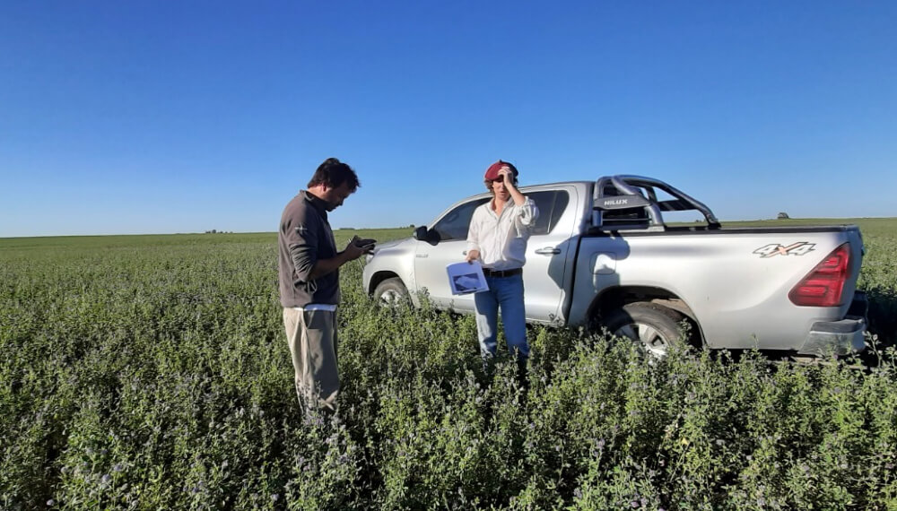 Cómo hizo para dividir 2.600 hectáreas en partes iguales por productividad potencial con agricultura digital