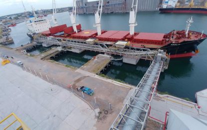 Por la bajante histórica del Río Paraná, los puertos bonaerenses tienen cargas récord de maíz