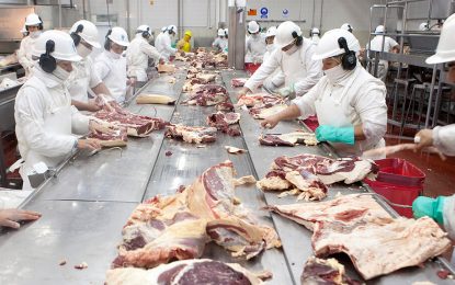 Sigue sin aviso oficial la liberación de la exportación de “vaca conserva” a China