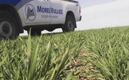 Con manejo agronómico y agregando valor, la empresa familiar cordobesa que potenció sus negocios