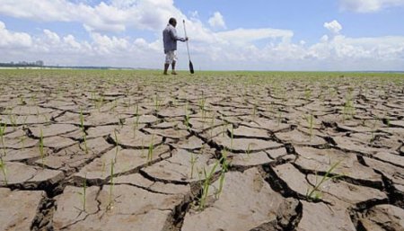 Sequía: declararon emergencia agropecuaria en Neuquén