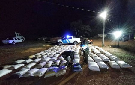 Incautaron 17 toneladas de granos de contrabando en Misiones