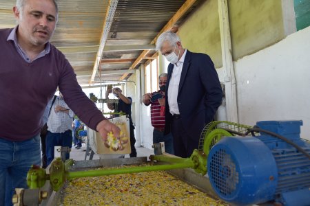 Domínguez: “la ganadería es eficiente en materia ambiental”