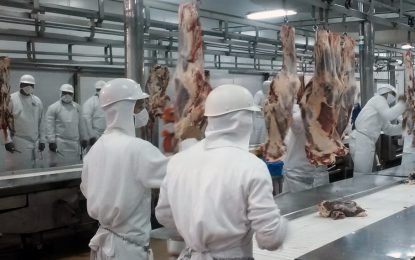 La industria frigorífica, en el ojo de la tormenta