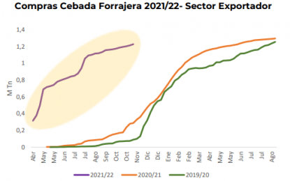 La cebada con precios históricos y sin techo