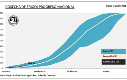 Elevan la proyección de producción de trigo nacional a 19,8 millones de toneladas