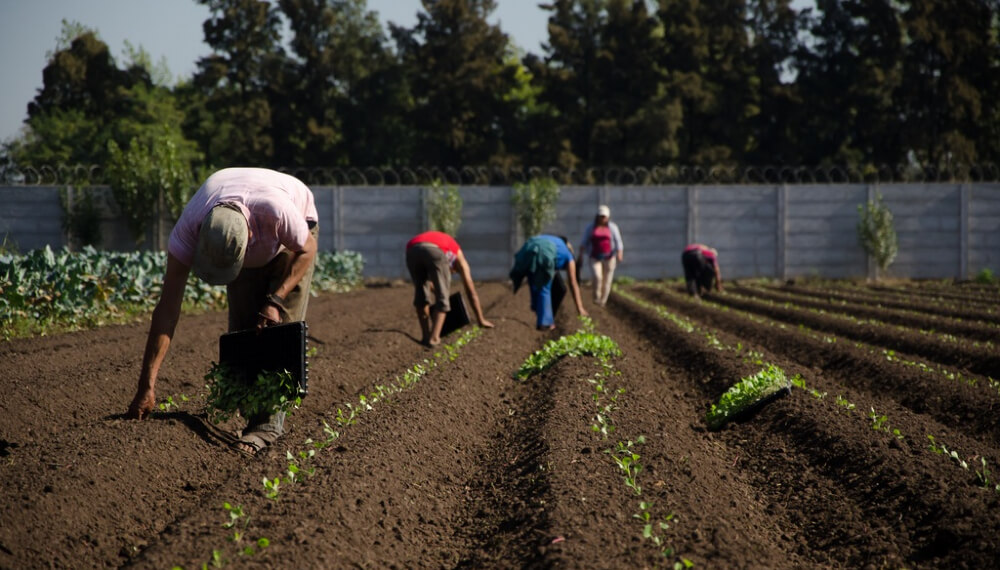 La Mesa Agroalimentaria Argentina se reunió con Feletti