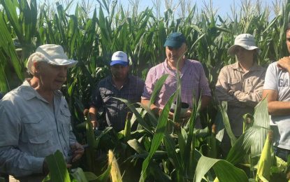 Cincuenta productores avanzan en la tokenización de la producción