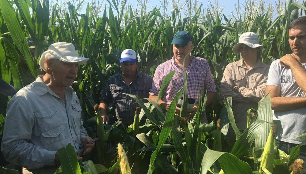Cincuenta productores avanzan en la tokenización de la producción