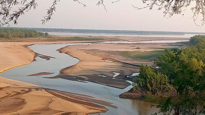 Finalizó la siembra de arroz en Entre Ríos