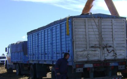 La carta de porte electrónica ya es obligatoria en Argentina