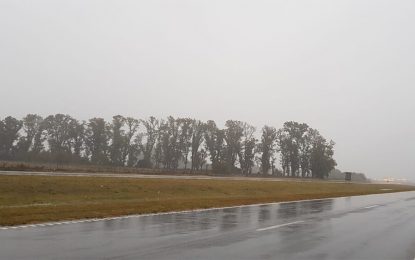 Las lluvias de esta semana salvaron a los cultivos