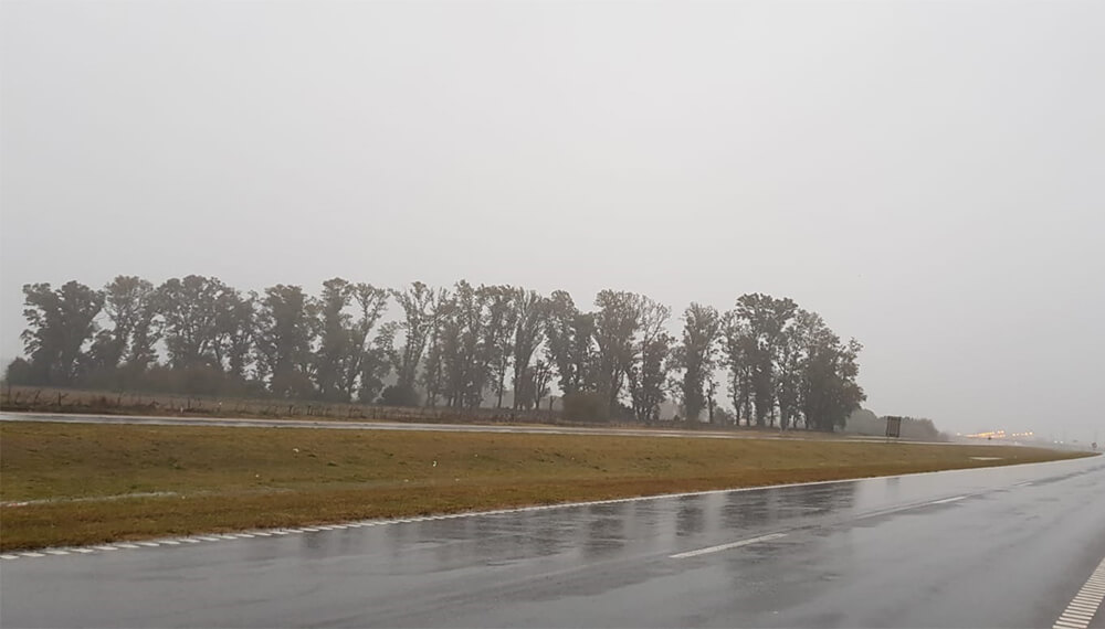 Las lluvias de esta semana salvaron a los cultivos
