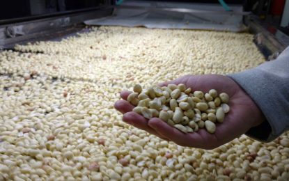 Los maniseros agradecieron la baja en las retenciones