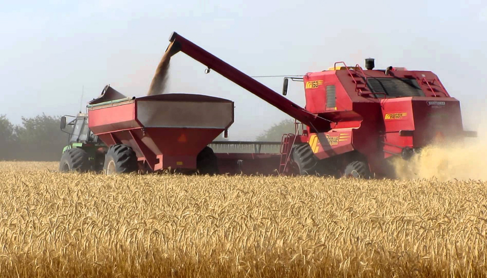 Avanza la cosecha de trigo y cebada, y los rindes siguen sorprendiendo