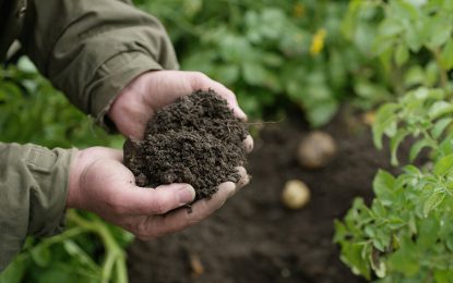 Productores argentinos podrán reducir sus emisiones de CO2