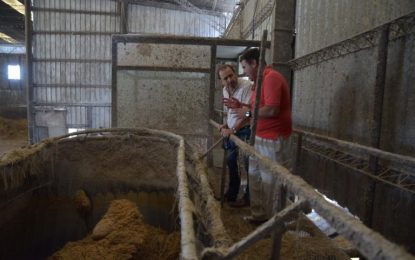 Solmi: “Tenemos que lograr mayor stock y peso por animal”