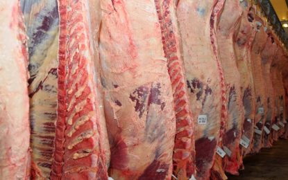 “Si dejamos que fluya, habrá más carne en el 2022”