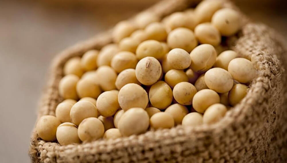 Soja: se necesita 1690 kilos por hectárea para cubrir costos
