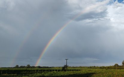 ¿Cuánto llovió en los últimos días y cuándo podría caer en los próximos?