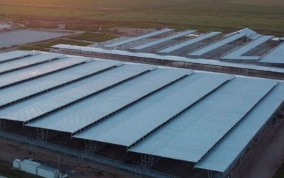 Adelantan que la apertura del MAG será para marzo