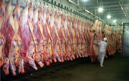 Sigue el cepo a la carne: el Gobierno fijó las nuevas restricciones a las exportaciones