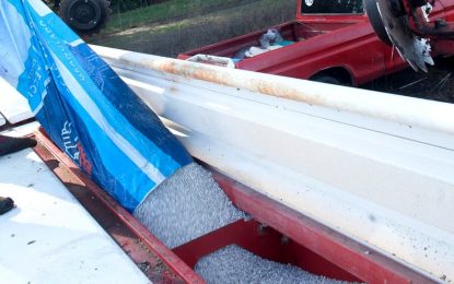 Los JJ.OO. de invierno, otra mariposa que aletea en China e impacta a nivel global en los fertilizantes