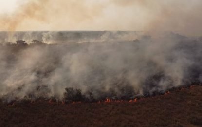 Lo que el fuego ya se llevó: las perdidas superan los $25.000 millones