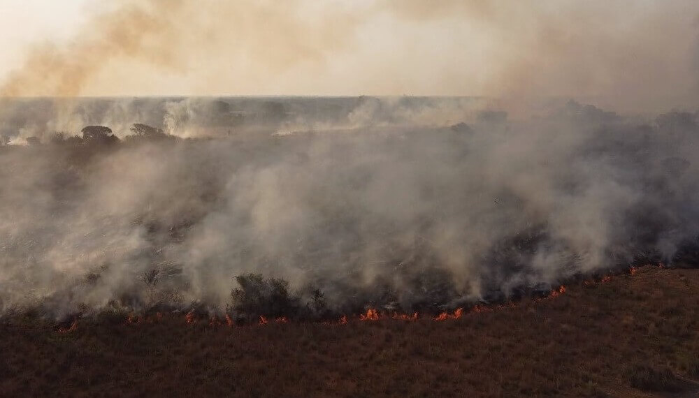 Lo que el fuego ya se llevó: las perdidas superan los $25.000 millones