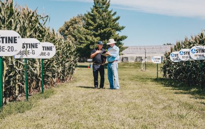 Los planteos de maíz que están haciendo la diferencia, a pesar de la seca