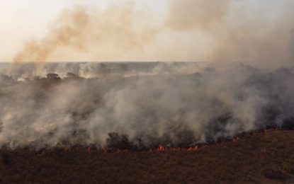 La carta de un productor correntino afectado por incendios: “Esto es urgente y grave”