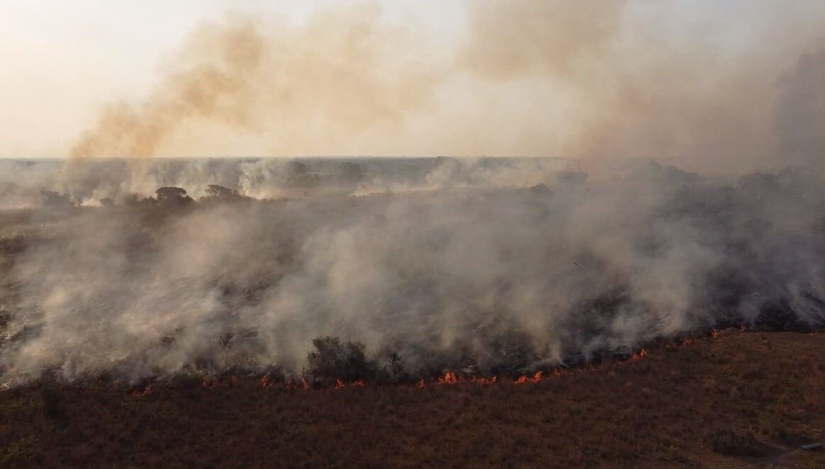 La carta de un productor correntino afectado por incendios: “Esto es urgente y grave”