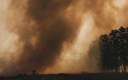 Corrientes e incendios: una diputada pide que se declare el estado de emergencia y desastre