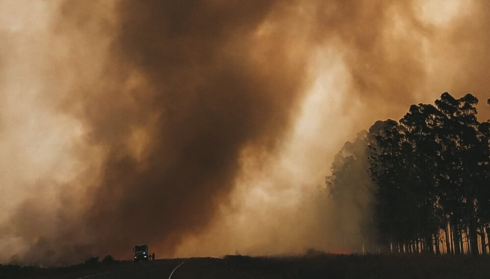 Corrientes e incendios: una diputada pide que se declare el estado de emergencia y desastre